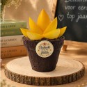 Chocolade Bloempot | Origineel Einde Schooljaar Cadeau