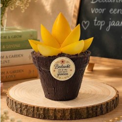 Chocolade Bloempot | Origineel Einde Schooljaar Cadeau