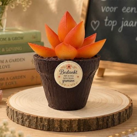 Chocolade Bloempot Bedankt Juf | Origineel Einde Schooljaar Cadeau