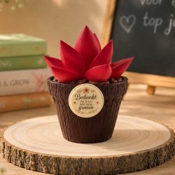 Chocolade Bloempot | Origineel Einde Schooljaar Cadeau