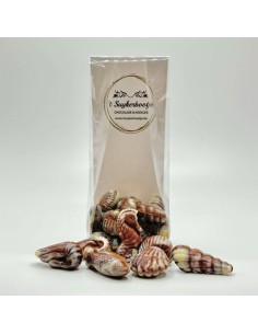 Chocolade Zeevruchten, heerlijk bij een tasje koffie!