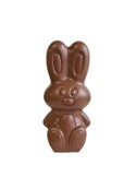 Schattig Chocolade Konijntje van 15cm in Melkchocolade | Paaschocolade